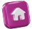 Home Icon