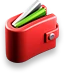 Money Icon